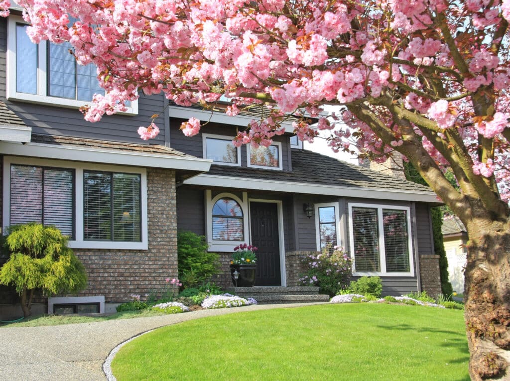A house with a cherry blossom tree in full bloom