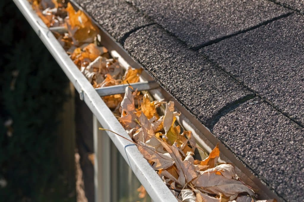 roofing maintenance