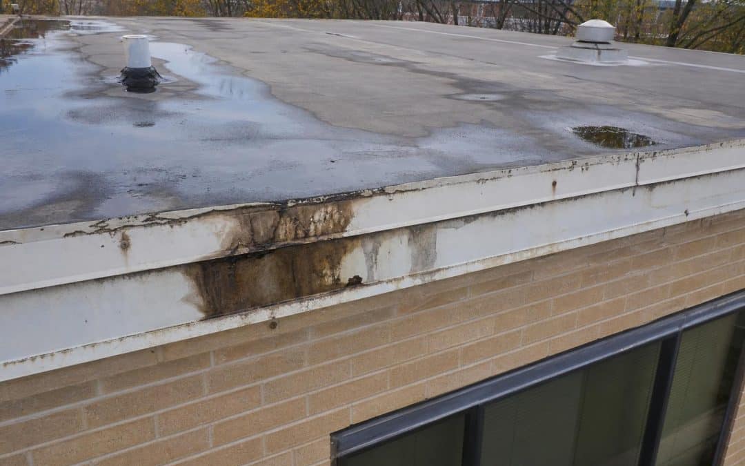 flat roof leaking at edge