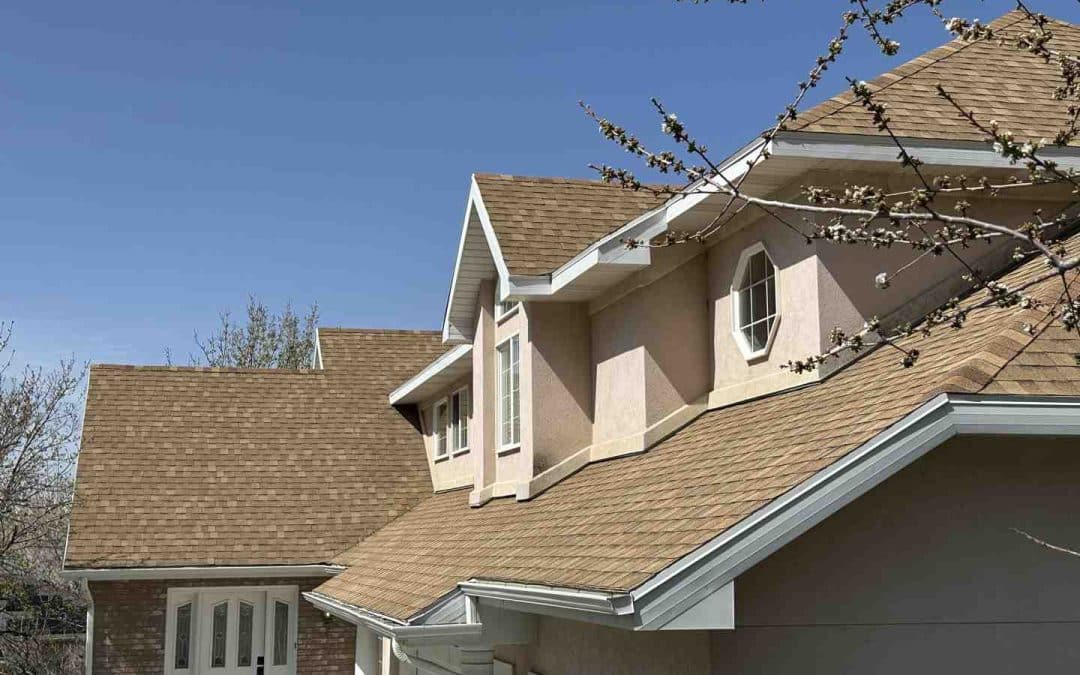 brownish red roof shingles